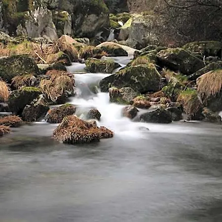 Ξενοδοχείο Criativo Do Sabugueiro Abrantes